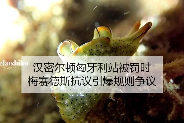 汉密尔顿匈牙利站被罚时 梅赛德斯抗议引爆规则争议