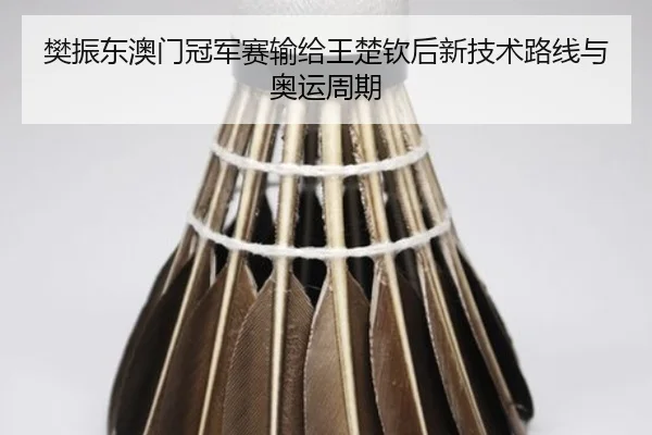 樊振东澳门冠军赛输给王楚钦后新技术路线与奥运周期